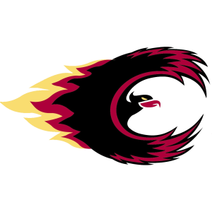 Citadel Phoenix Logo